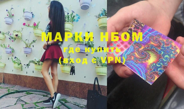 шишки Балахна
