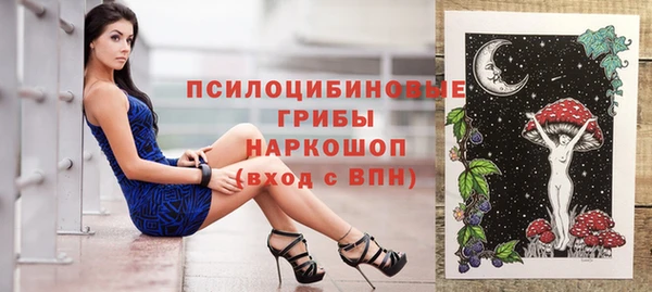 шишки Балахна
